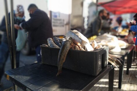 "Pescadazo" en el Congreso con precios populares por la crisis tras la bajante del río Paraná