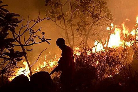 Bolsonaro llamó a 44,000 soldados para que hagan de bomberos.