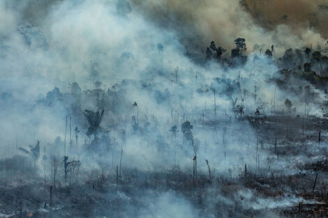 El desastre ambiental es sin precedentes.