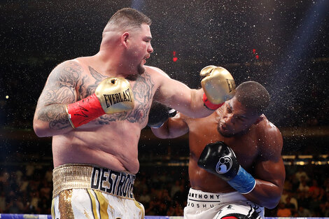 El gordito que le ganó al campeón