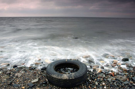 La polución acidifica los mares y produce fuertes daños en las reservas de peces.