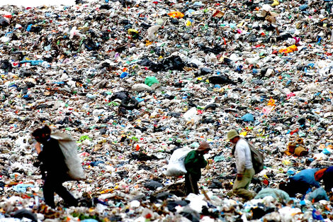 Recolectores de basura en el CEAMSE