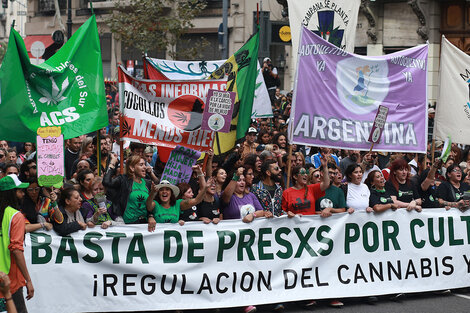 Firmaron un acuerdo para impulsar la regulación legal del cannabis