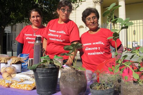 Productoras de Santiago del Estero  