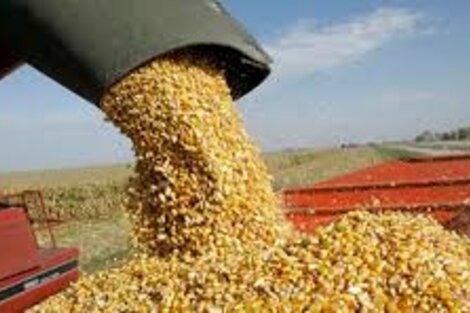 El sector agropecuario fue el único con evolución positiva a julio, suficiente para un resultado favorable del EMAE.