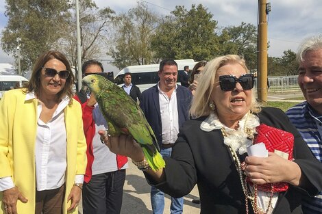 Elica Carrió busca reforzar al núcleo duro de Cambiemos con sus declaraciones. 