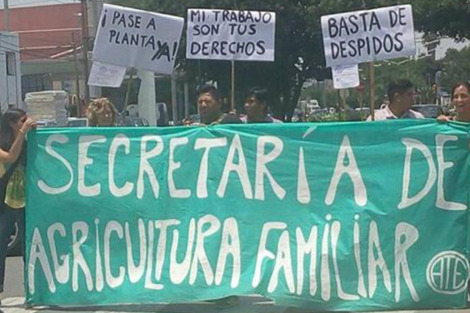 Despedidos de Agricultura Familiar demandaron al Estado 