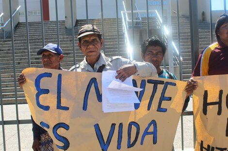Wichis presentaron una demanda en defensa del monte 