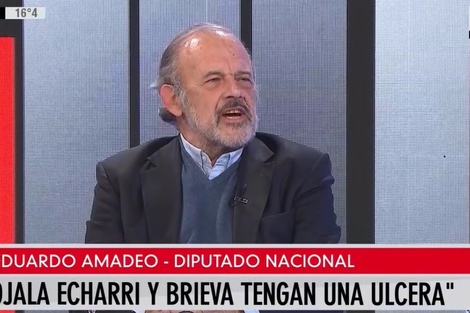 Eduardo Amadeo: "Ojalá Echarri, Zaffaroni, Brieva tengan una úlcera"