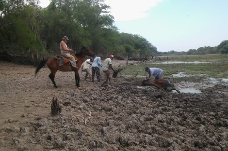 Pequeños productores exigen medidas para paliar la sequía 