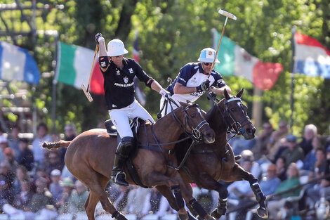 La Final de Polo de Tortugas