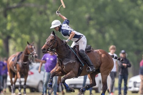 Abierto Argentino de polo: debuta el campeón La Dolfina