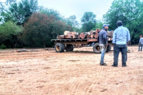Acusan a la Policía de mentir para favorecer a quienes deforestan