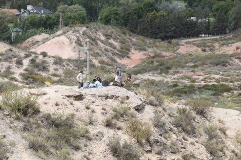 Encuentran en Neuquén los restos de un Titanosaurio de 85 millones de años