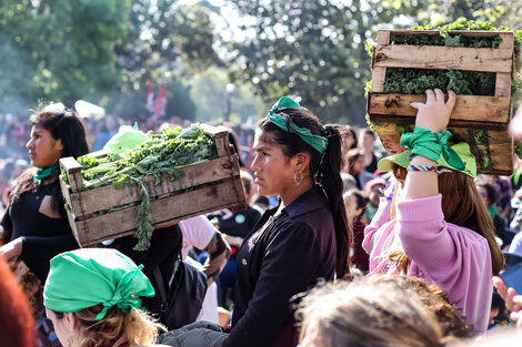 Veganismo y feminismo: el complejo entramado político, cultural y económico detrás de la comida