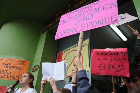 La presencia de ratas en escuelas de Caballito se reitera desde hace meses.