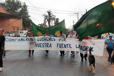 Se dictó conciliación obligatoria entre el Sindicato y Alliance One