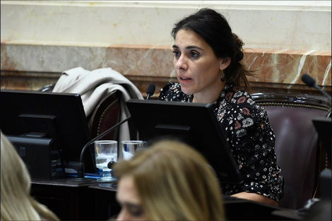 En el Senado, el macrismo pierde una integrante