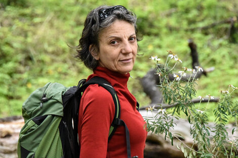 Sandra Díaz fue reconocida por Nature como una de las diez personalidades de la ciencia más influyentes de 2019