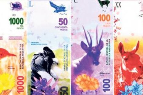 El Central analiza emitir un billete de 2000 o 5000 pesos