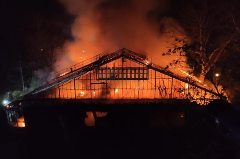 Tragedia en un zoológico de Alemania: hubo un incendio y murieron 30 monos