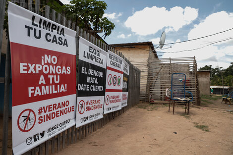 Hay dos casos de dengue en el país