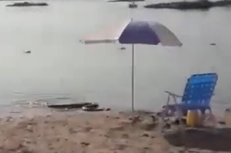 La imagen de la anaconda amarilla en