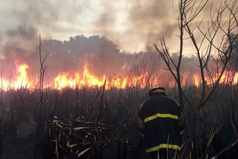 Tras 12 horas lograron extinguir el fuego en la Reserva Ecológica