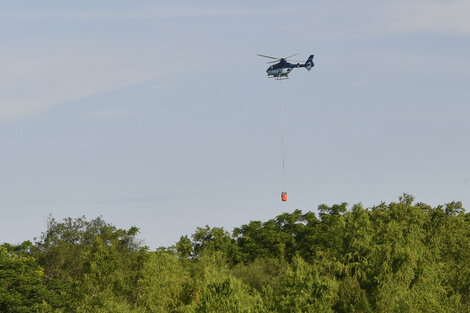 Otro incendio en la Reserva Ecológica