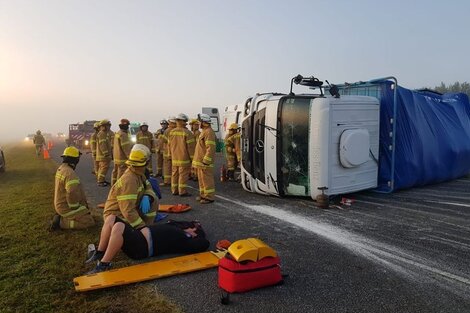 Grave accidente en la ruta 2 por un toro suelto