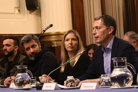 Grosso, Santa María, Alvarez Rodríguez y Gray, entre otros, participaron de una conferencia de prensa en el Congreso.