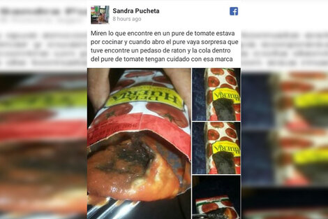 Una mujer encontró “un pedazo de rata” dentro de una caja de puré de tomates