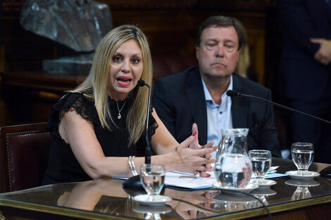 Sacnun durante el encuentro celebrado ayer en el Senado.