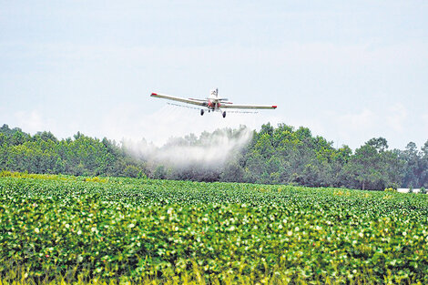 Un modelo agropecuario tóxico