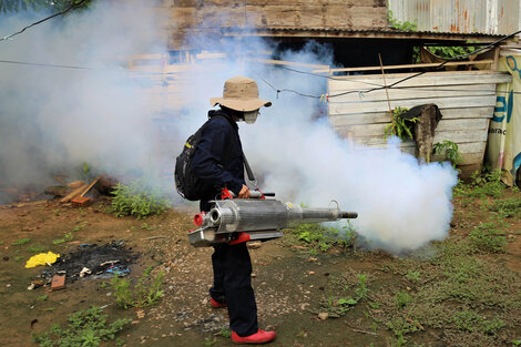 El dengue es "un riesgo alto"