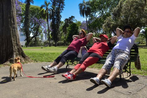 La nueva política previsional produjo una transferencia de los haberes más bajos a los más altos.