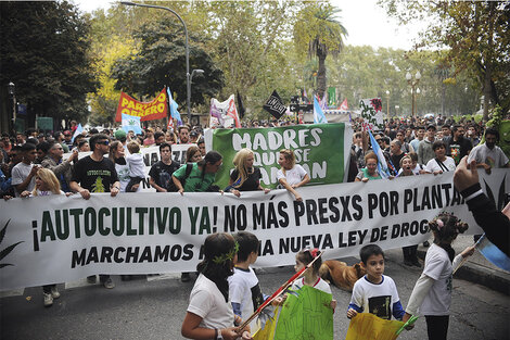 1. Un punto de vista no hegemónico se construye como mosaico en la publicación  (Fuente: Andres Macera)