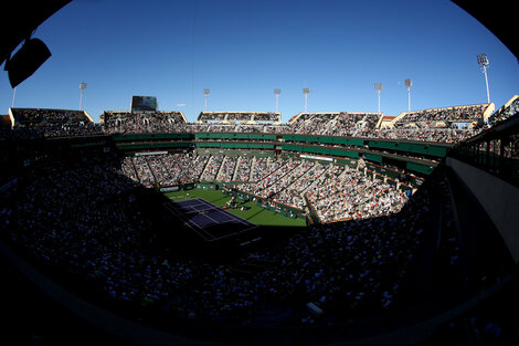 La ATP estará parada durante seis semanas