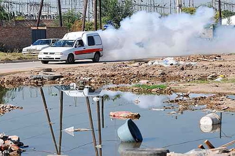 Dengue: la epidemia continúa su expansión en Argentina