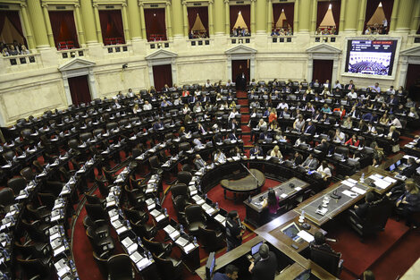 Todos los Diputados reciben subsidios para otrogar a distintos organismo.