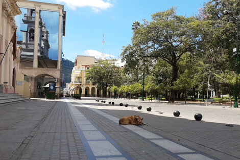 Un perro duerme en pleno centro vacío