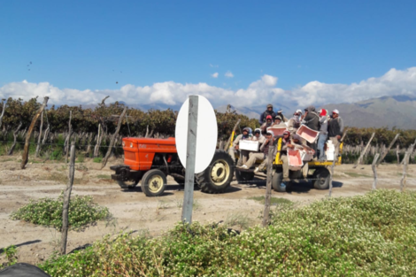 Denuncian que las bodegas incumplen medidas sanitarias