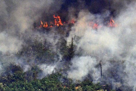 Incendios en la Amazonia.