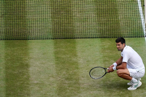 Djokovic es el vigente campeón y tendrá que defender el título recién en 2021. (Fuente: AFP)