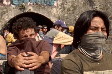 Cine Migrante migró a la red