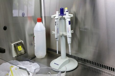 Salta continúa sin más positivos de coronavirus