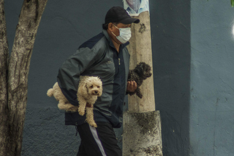 A partir del lunes 13 en Salta será obligatorio el uso de barbijo