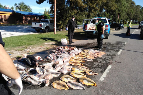 Operativo realizado esta semana en la ruta 1 cerca de helvecia.