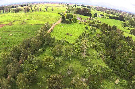 El 80% de los campos en explotación no son trabajados por sus dueños, que viven de sus rentas.