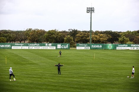 false (Fuente: Sporting Oficial)